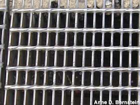 The grate.