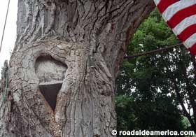 Scythe Tree close-up.