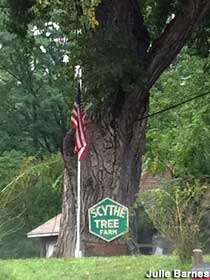 Scythe Tree.
