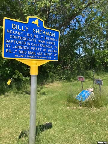 Grave of Billy Sherman.