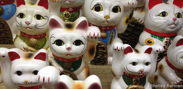 Lucky cats.