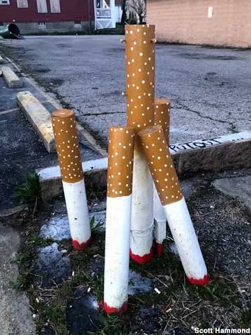 Cigarette butts.