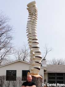 Human spine carved from tree.