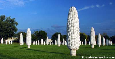 Field of Corn.
