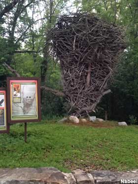 World's Largest Eagle's Nest Replica.