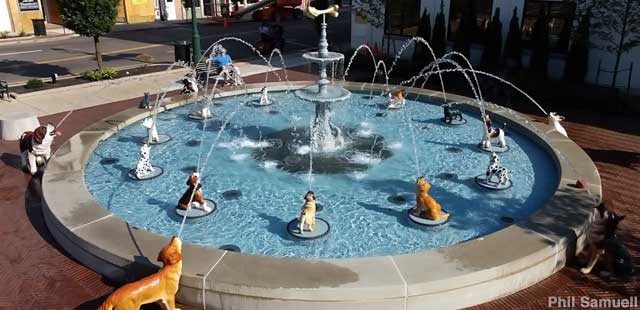 Fountain of Dogs.