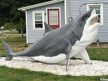 Shark statue.