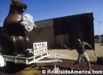 Cow chip toss in front of the Beaver statue.
