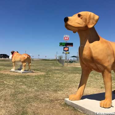 Dog statues.