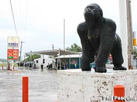 Kong statue.