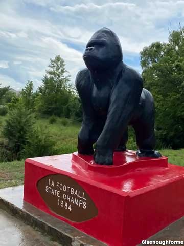 School mascot Gorilla.