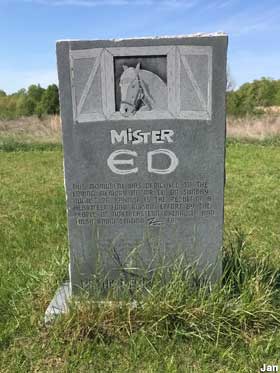Grave of Mr. Ed.
