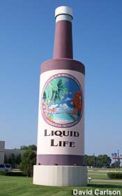 Liguid Life Bottle.