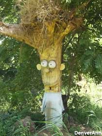Bart Simpson Tree.