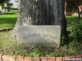 Seminole Nation Whipping Tree.