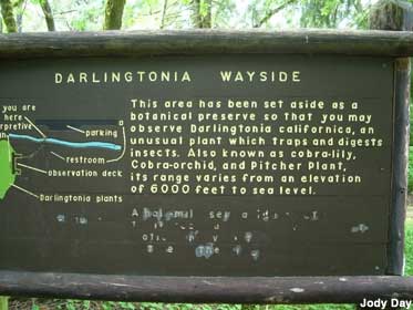 Darlingtonia Wayside sign.