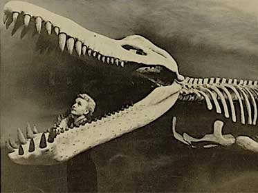 Skeleton of Kronosaurus queenslandicus.