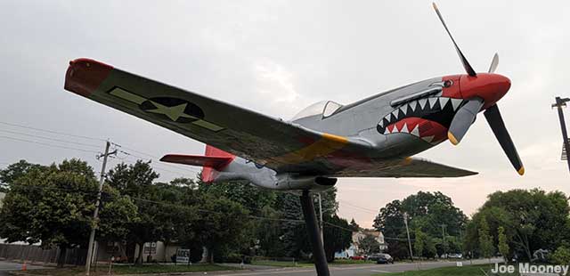 P51 Mustang on a Stick.