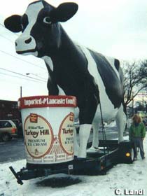 Big Cow.