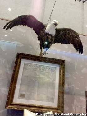 Peter, Stuffed Eagle of the Mint.