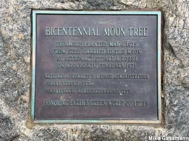 Moon Tree plaque.