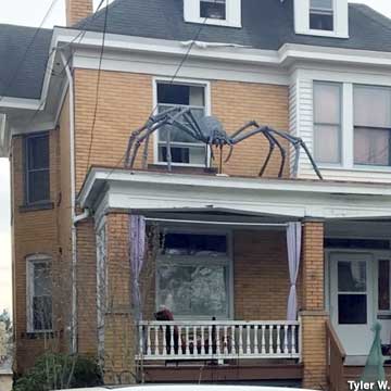 Roof spider.