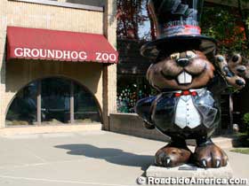 Groundhog Zoo.