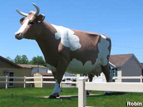 Giant cow.
