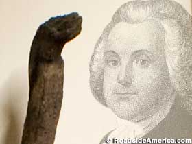 Tree root and the Founder of Rhode Island.