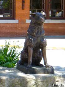 Statue of Hachiko, Faithful Dog.