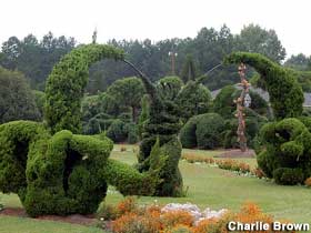 Fryar's topiary.