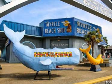 Myrtle Beach Shop and sea life photo ops.