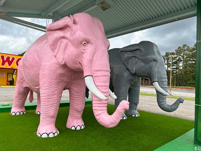 Pink and gray elephant.