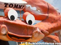 Tommy the World's Largest Crab