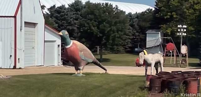 Big Pheasant Statue.