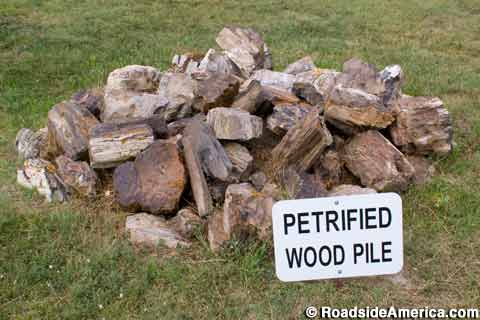 Petrified Wood Pile.