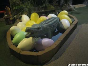Gator and eggs.