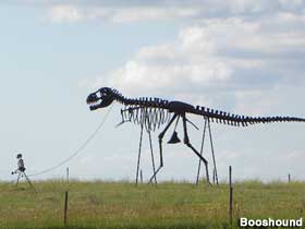 Skeleton walking dinosaur.
