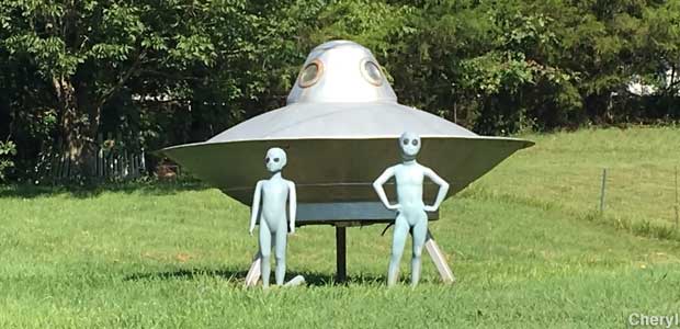 UFO and Aliens in Yard.