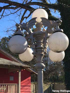 Dragon street lamps.