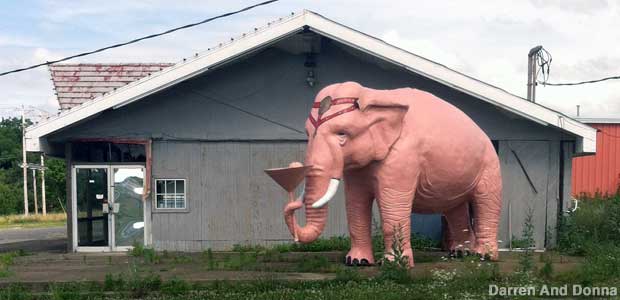 Pink elephant.