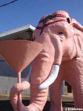 Pink elephant.