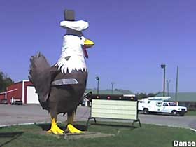 Large chicken statue.