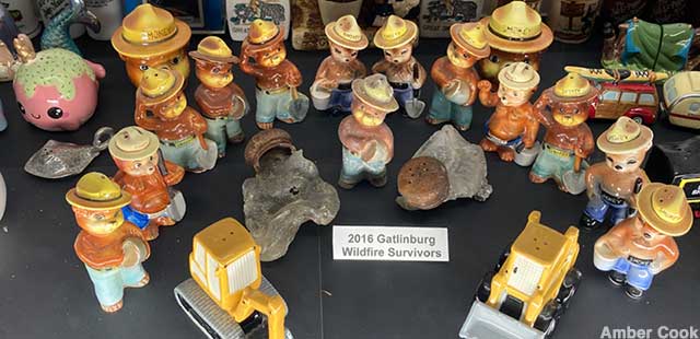 2016 Gatlinburg Wildfire Survivors.