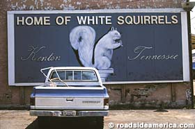 Home of White Squirrels, Kenton, TN.