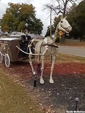 Skeleton horse, drive and hearse.