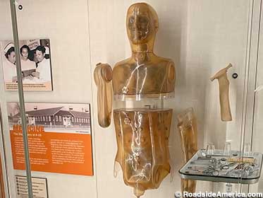 REMAB dummy was filled with organs, exposed to radiation.