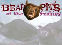 Bear Pits of the Smokies