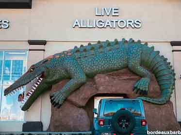 Alligator entrance.