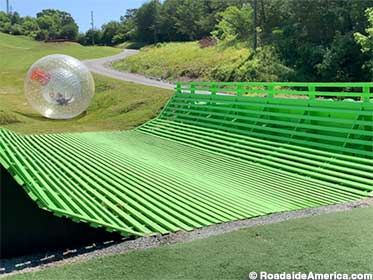 Another human hamster ball approaches the home stretch.